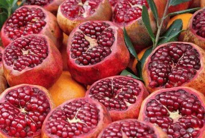 Pomegranate jigsaw puzzle