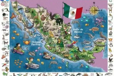 mexiquito