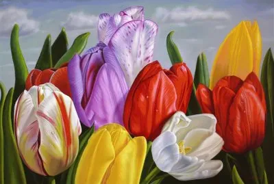 Tulips