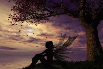 Fadas, duendes e ninfas.