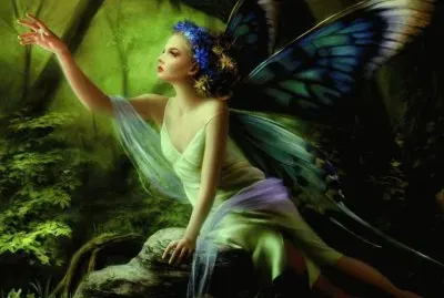 Fadas, duendes e ninfas.