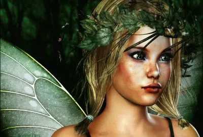 Fadas, duendes e ninfas.