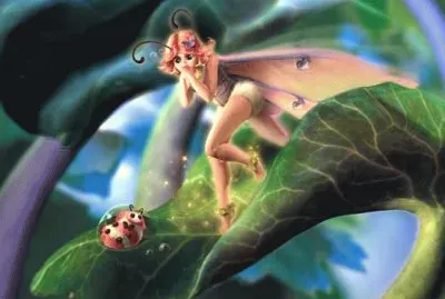 Fadas, duendes e ninfas.