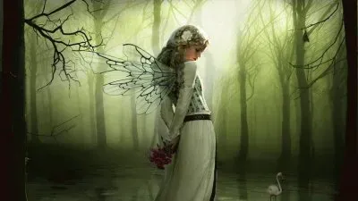 Fadas, duendes e ninfas.