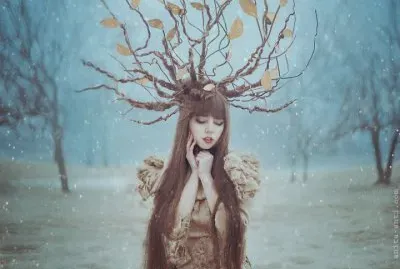 Fadas, duendes e ninfas.