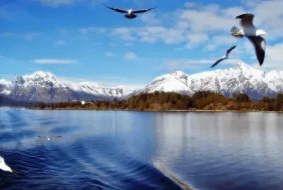 Lago Nahuel Huapi. Patagonia Argentina jigsaw puzzle