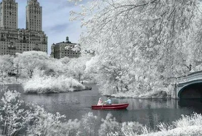 Central Park