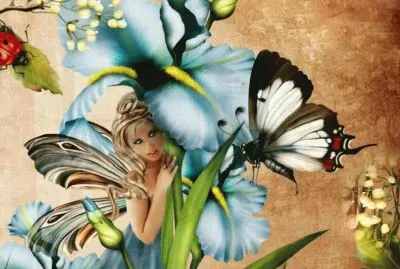 Fadas, duendes e ninfas.