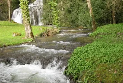 cascadas jigsaw puzzle