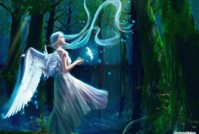 Fadas, duendes e ninfas.