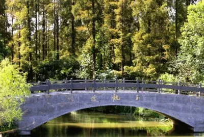 dongping national park