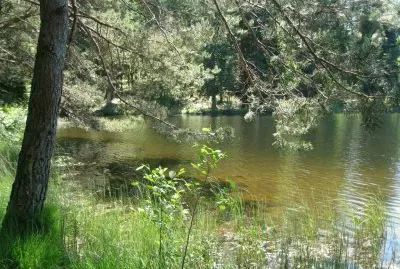 estanque