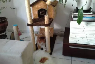 Casa de brincadeiras