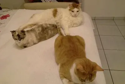 Juntinhos e felizes
