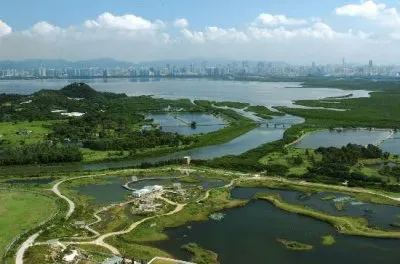 wetland park jigsaw puzzle