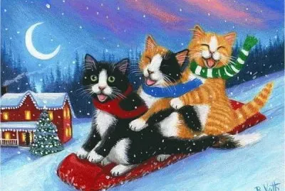Sledge ride