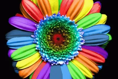 Rainbow Flower