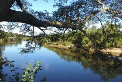 Riachuelo en la Provincia de Corrientes. Argentina