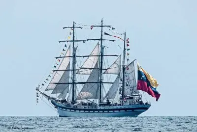 vzla