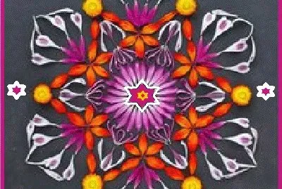 lily6