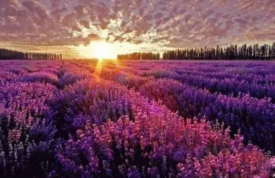 פאזל של ä¸–ç•Œé¢¨æ™¯