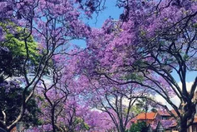 ä¸–ç•Œé¢¨æ™¯