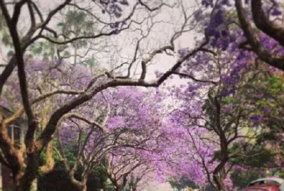 ä¸–ç•Œé¢¨æ™¯