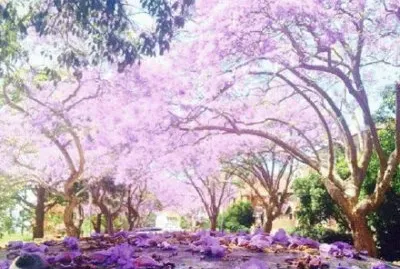 ä¸–ç•Œé¢¨æ™¯