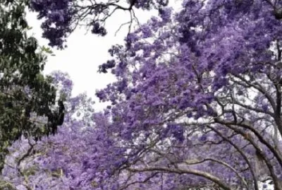 ä¸–ç•Œé¢¨æ™¯