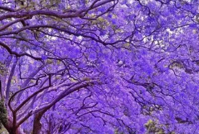 ä¸–ç•Œé¢¨æ™¯