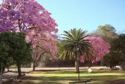 En Rosario de la Frontera. Salta. Argentina jigsaw puzzle