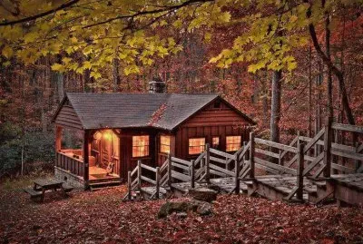 NATUREZA jigsaw puzzle