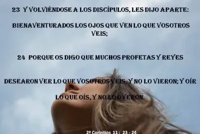 solo cree