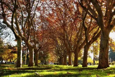 En la Ciudad de Mendoza. Argentina
