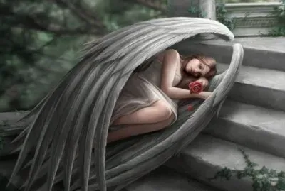 Fadas, bruxas e ninfas.