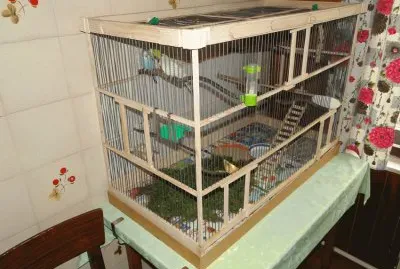 solata