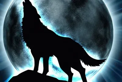 Wolf 's Rain