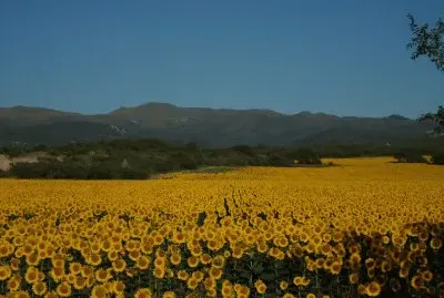 En Alta Gracia. CÃ³rdoba. Argentina