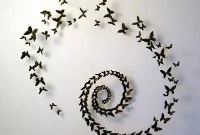 borboletas jigsaw puzzle