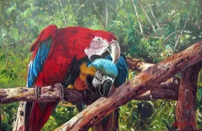 araras jigsaw puzzle