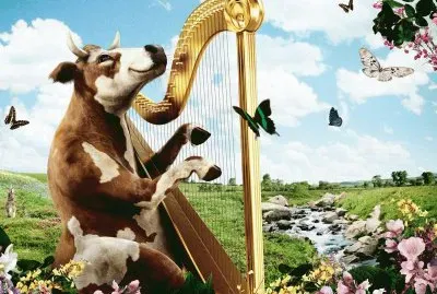 vaca melodiosa