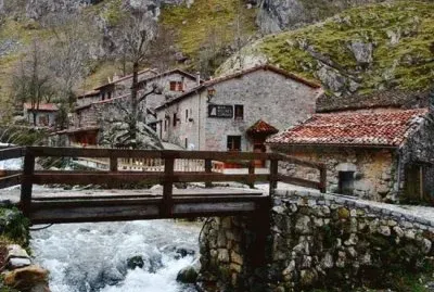 Cabrales-Excelentes quesos