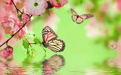 Borboletas no lago jigsaw puzzle