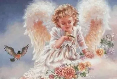 Fadas, bruxas e ninfas.