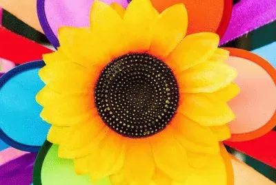 Colored Flower jigsaw puzzle