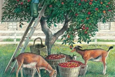 bichos jigsaw puzzle