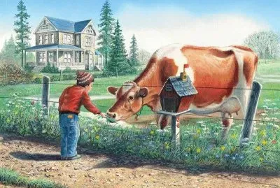 campo