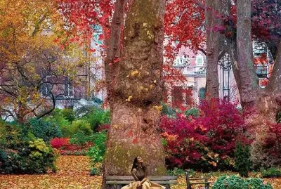 Bosque encantado