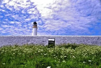 NATUREZA