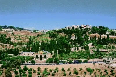 monte degli ulivi jigsaw puzzle